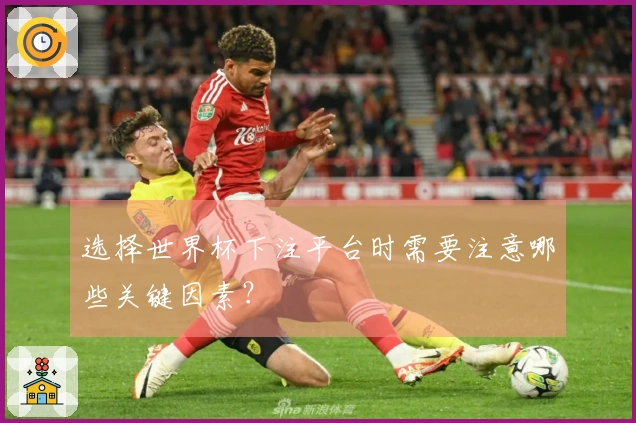 选择世界杯下注平台时需要注意哪些关键因素？