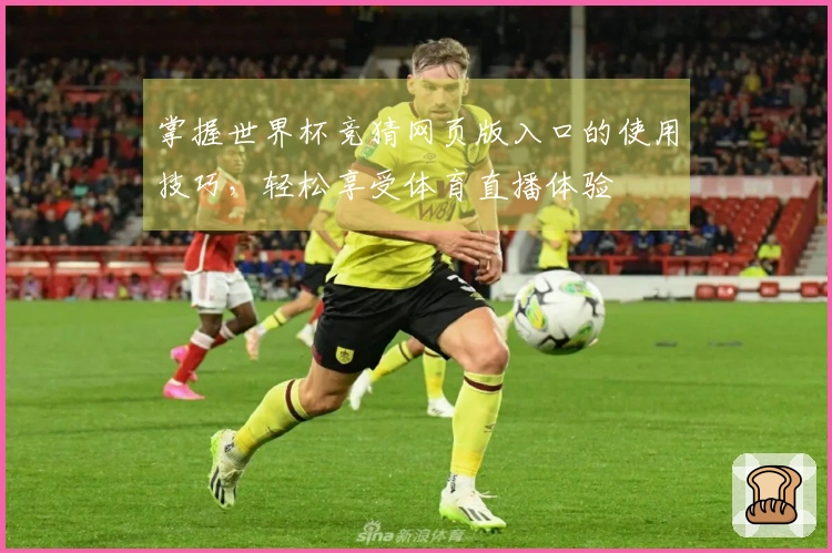 掌握世界杯竞猜网页版入口的使用技巧，轻松享受体育直播体验