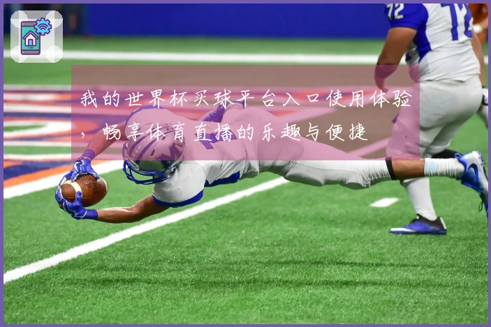 我的世界杯买球平台入口使用体验，畅享体育直播的乐趣与便捷