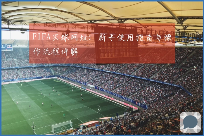 FIFA买球网址：新手使用指南与操作流程详解