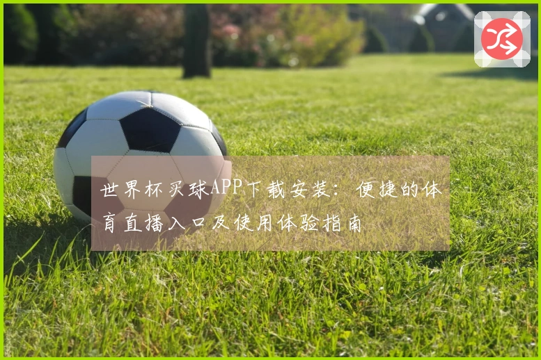 世界杯买球APP下载安装：便捷的体育直播入口及使用体验指南