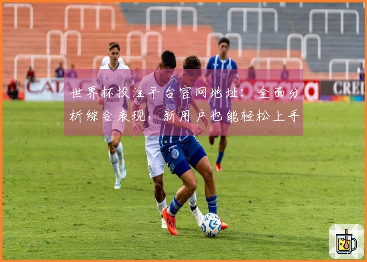世界杯投注平台官网地址：全面分析综合表现，新用户也能轻松上手