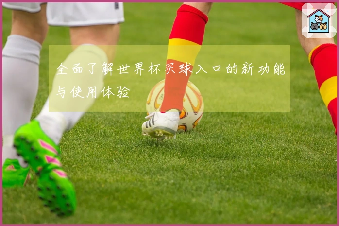 全面了解世界杯买球入口的新功能与使用体验