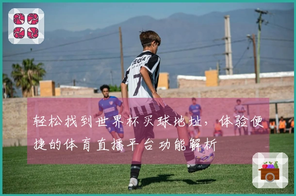 轻松找到世界杯买球地址，体验便捷的体育直播平台功能解析