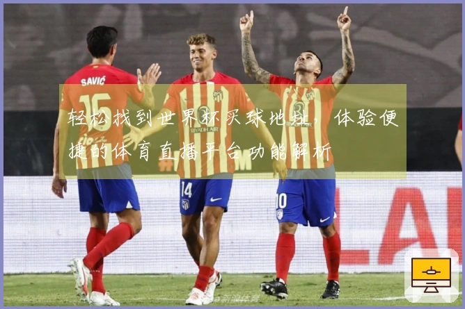 轻松找到世界杯买球地址，体验便捷的体育直播平台功能解析
