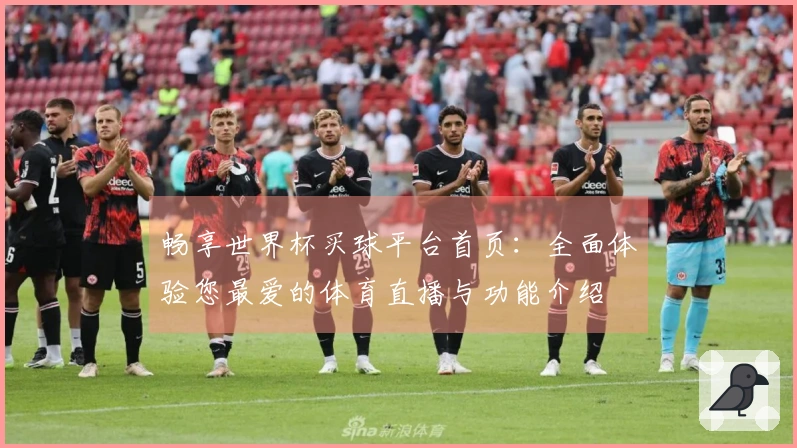 畅享世界杯买球平台首页：全面体验您最爱的体育直播与功能介绍