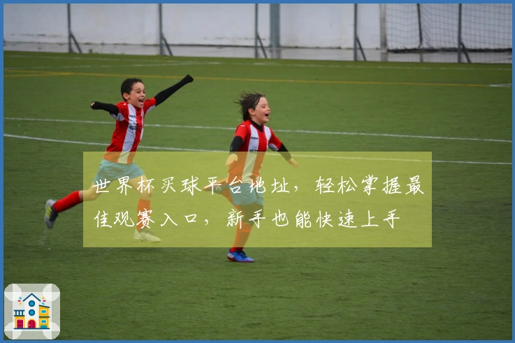 世界杯买球平台地址，轻松掌握最佳观赛入口，新手也能快速上手