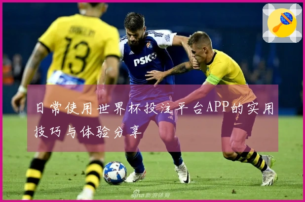 日常使用世界杯投注平台APP的实用技巧与体验分享