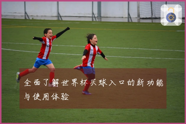 全面了解世界杯买球入口的新功能与使用体验