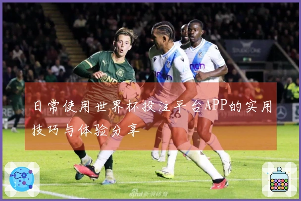 日常使用世界杯投注平台APP的实用技巧与体验分享